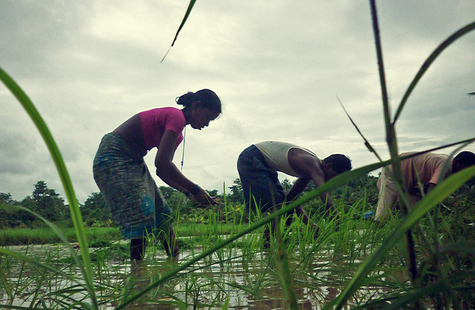 agro tourism in dahanu